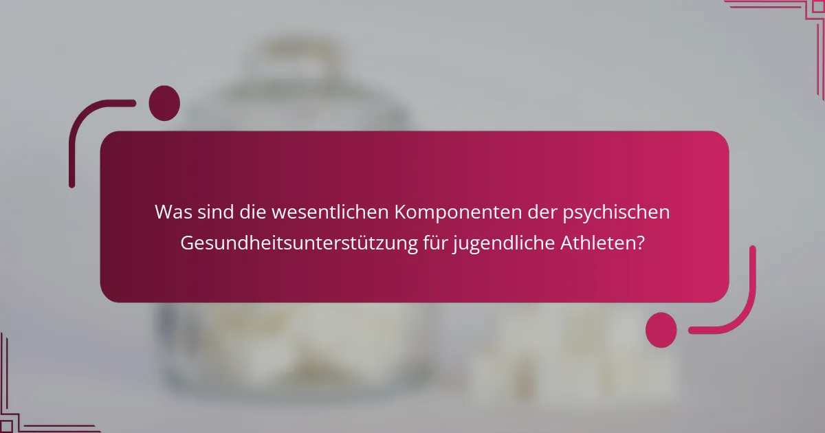 Was sind die wesentlichen Komponenten der psychischen Gesundheitsunterstützung für jugendliche Athleten?