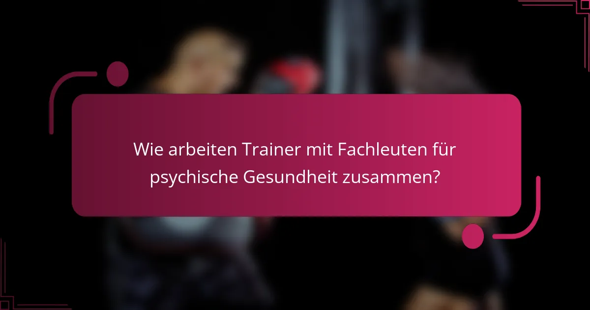 Wie arbeiten Trainer mit Fachleuten für psychische Gesundheit zusammen?